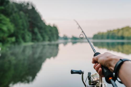 how to choose the best metal finishing job shop software